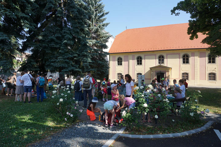 Kirándulás a harmadik tábornapon Kirándulás a harmadik tábornapon